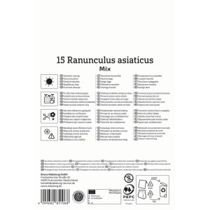 Balenie cibuliek iskerníka Kiepenkerl, zmes 15 ks. Na kvetináče, rezané kvety, slnečné miesta, vyžaduje zimnú ochranu.