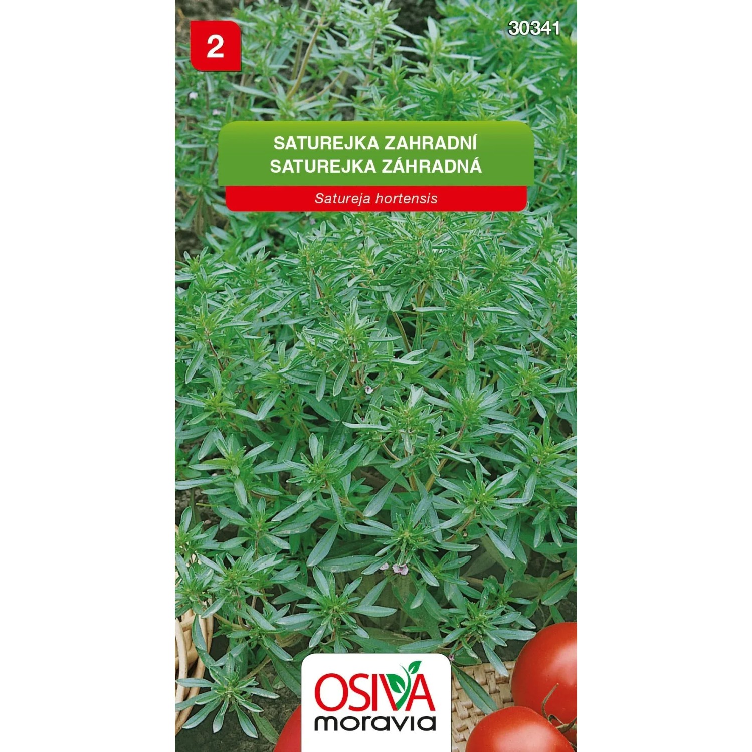 E-shop Osiva Moravia Semienka Saturejka záhradná (Satureja hortensis)
