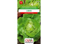 Osiva Moravia Šalát hlávkový Liban