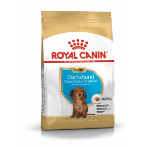 Royal Canin Dachshund Puppy suché krmivo pre šteniatka jazvečíkov, balenie 1,5 kg.