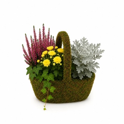 Jesenný aranžmán (chryzantéma/vres/starček/brečtan) v machovom košíku, 25 cm