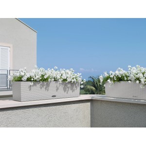 Lechuza Balconera Cottage 80, svetlosivý kvetináč so zavlažovacím systémom a bielymi kvetmi.