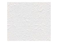 A. S. Creation Pretierateľná vliesová tapeta Meistervlies Creativ biela 141415