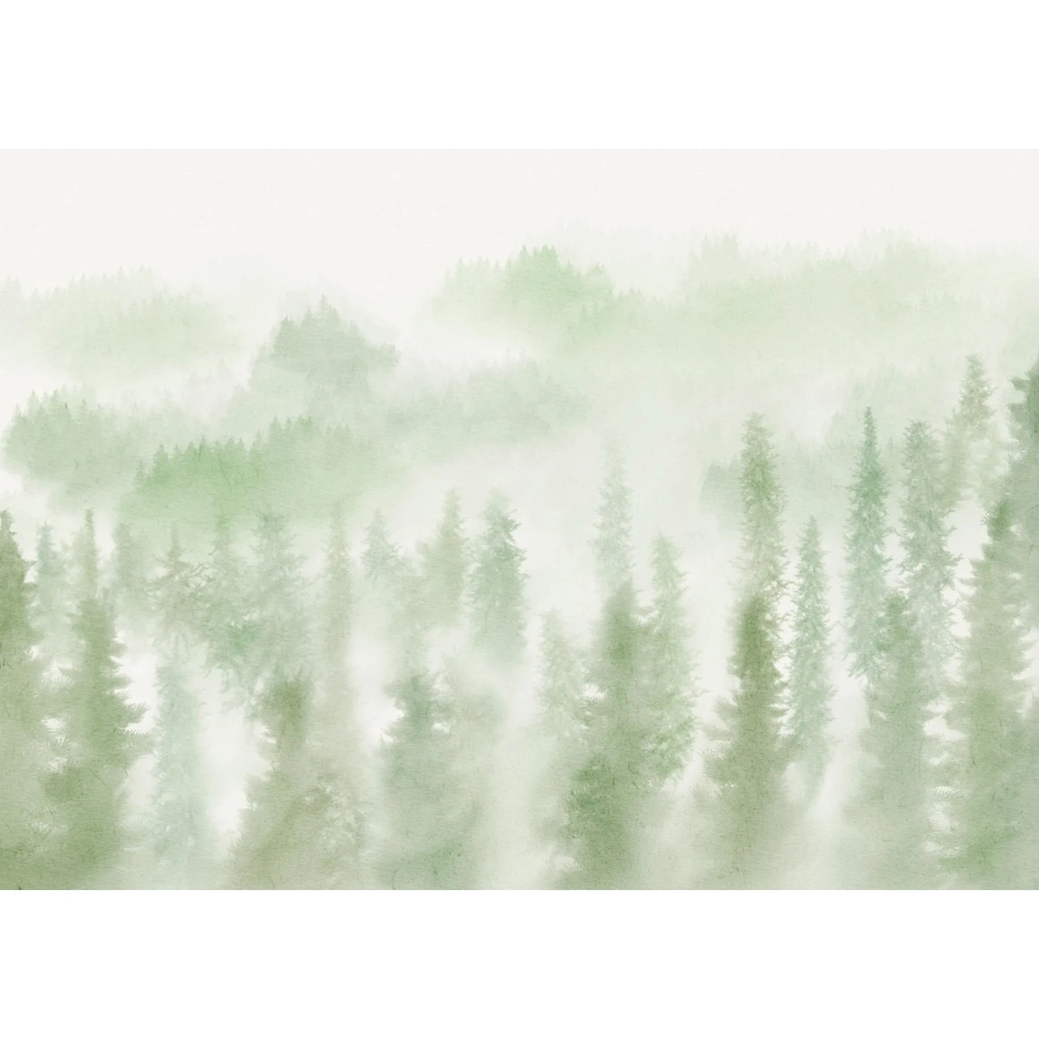 E-shop Komar Vliesová fototapeta Blurry Woods 250 x 350 cm