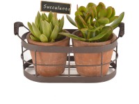 Aranžmán zo sukulentov Duo v železnom košíku priemer kvetináča cca 26 cm