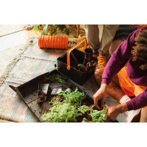 Úložný box Fiskars s náradím a rastlinami pri presádzaní, ideálny pre záhradné náradie.