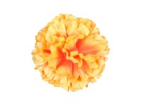 NOHEL GARDEN Umelá rastlina kvet karafiátu oranžový pr. 9 cm