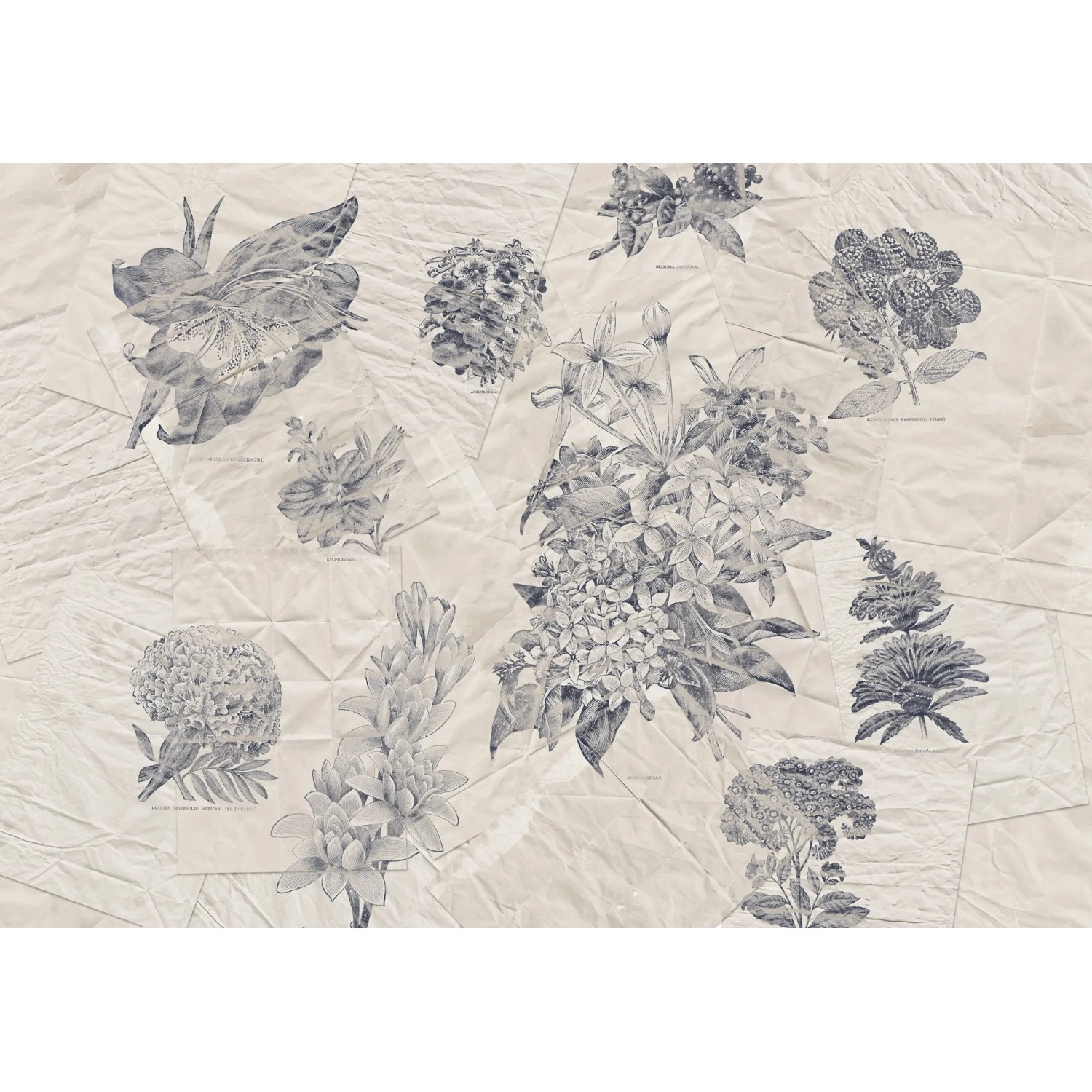 E-shop Komar Vliesová fototapeta Botanical Papers 400 x 280 cm