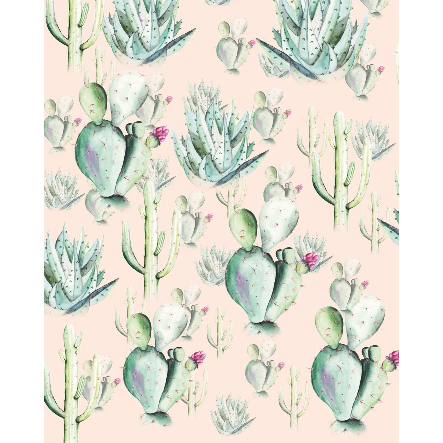 E-shop Komar Vliesová fototapeta Cactus Rose 200 x 250 cm