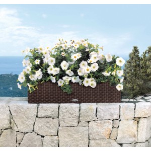 Lechuza Balconera Cottage 80 Mokka kvetináč (80x19cm) s bielymi kvetmi na kamennom múre.