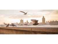 Bondecor Obraz, tlačené plátno Free 50 x 120 cm