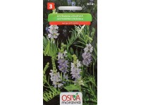 Osiva Moravia Semienka Jastrabina lekárska (Galega officinalis)