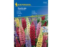 Kiepenkerl Semienka Vlčí bôb Pracht mix