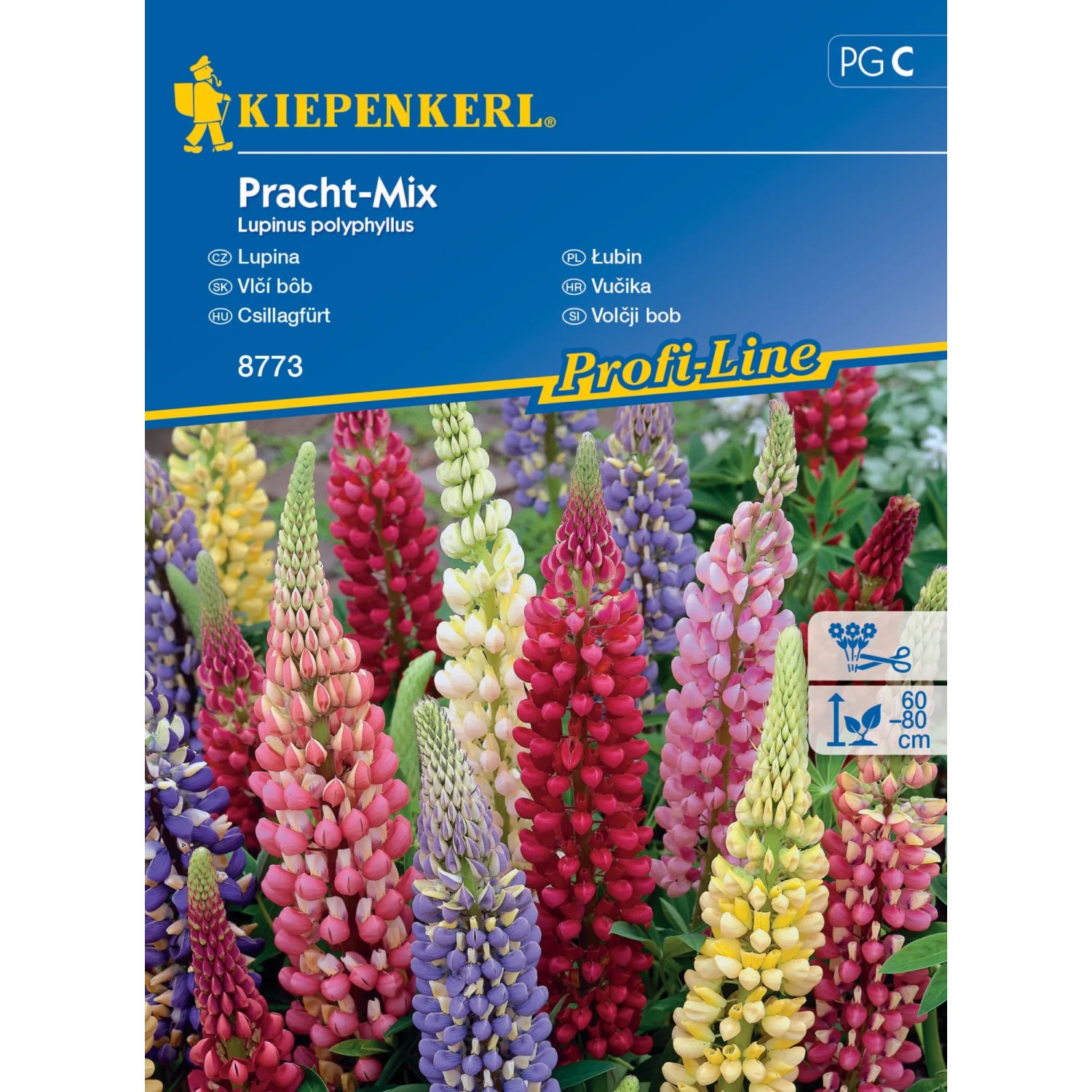 E-shop Kiepenkerl Semienka Vlčí bôb Pracht mix