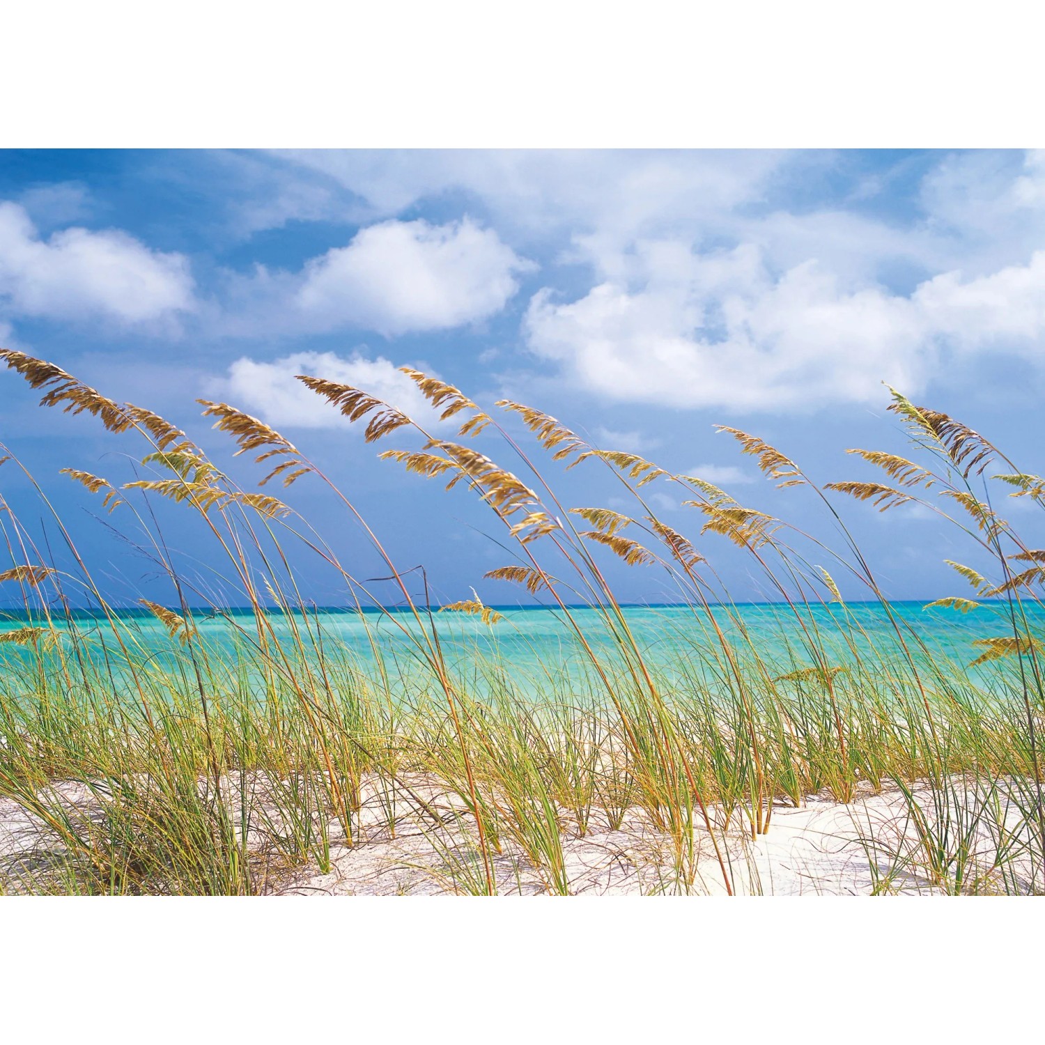 E-shop Komar Fototapeta Ocean Breeze 368 x 254 cm, 8-dielna