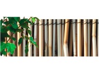 NOHEL GARDEN Rákosová rohož lesklá 1 x 5 m