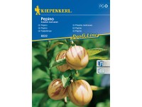 KIEPENKERL Pepino (Solanum muricatum)