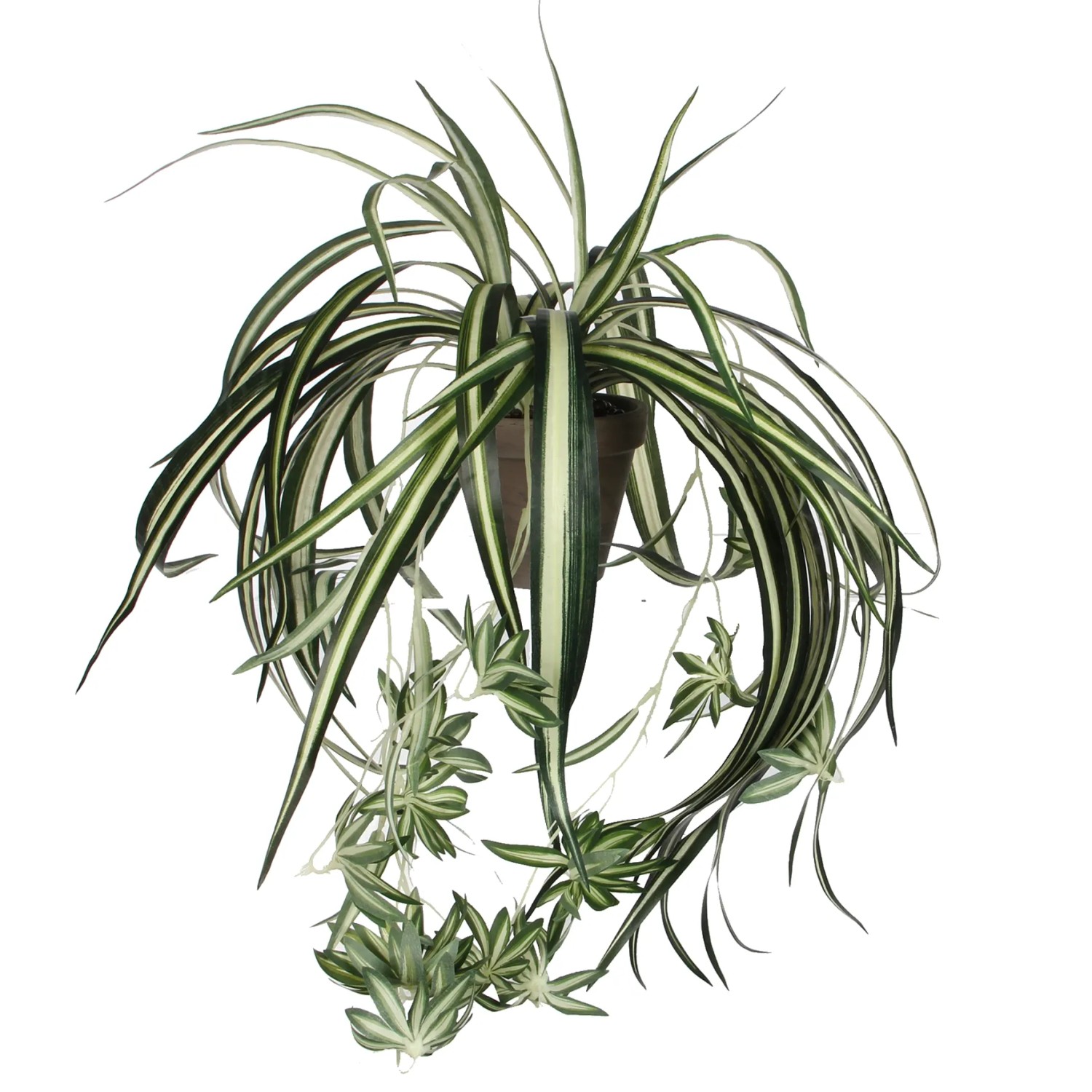 E-shop Mica Decorations Umelá kvetina Chlorophytum 45 cm