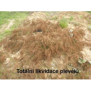 Hnedé, odumreté rastliny po použití herbicídu na trávnik.