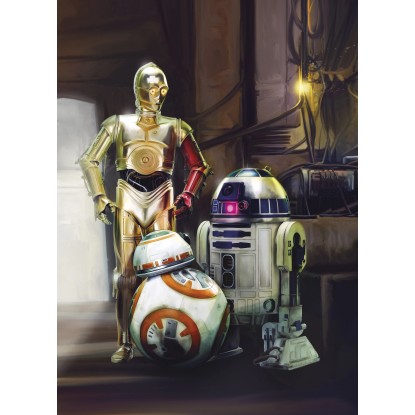 Komar Papierová fototapeta STAR WARS Three Droids, 184 x 254 cm