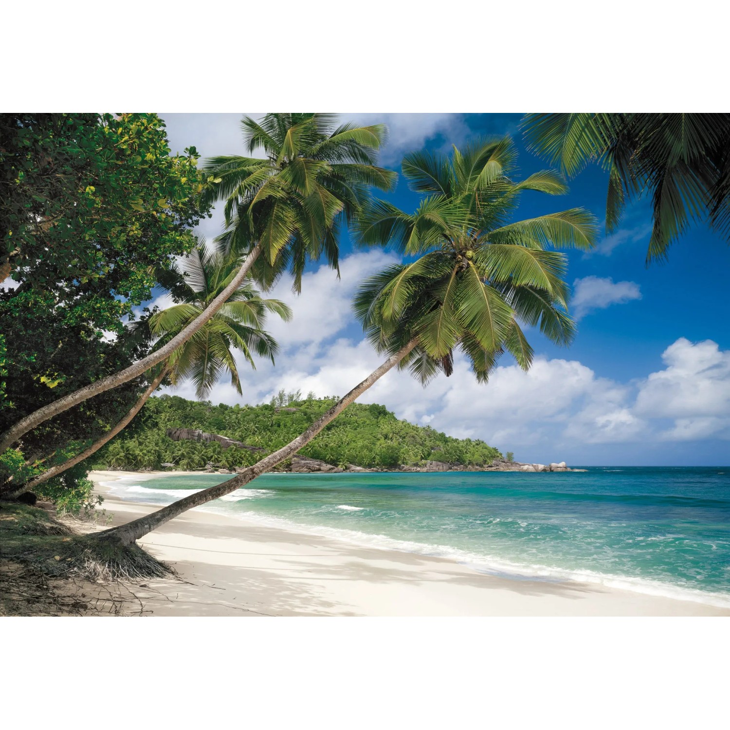 E-shop Komar Papierová fototapeta Tropical Sea 368 x 254 cm