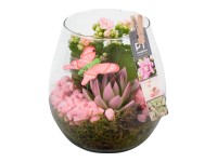 Aranžmán izbových rastlín v sklenenej nádobe, pr. kv. cca 15 cm