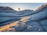Komar Samolepiace vliesové fototapety Elephant Skin 400 x 250 cm