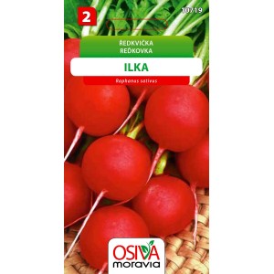 Balíček semien pre červené reďkovky, odroda Ilka. Pestovanie zeleniny.
