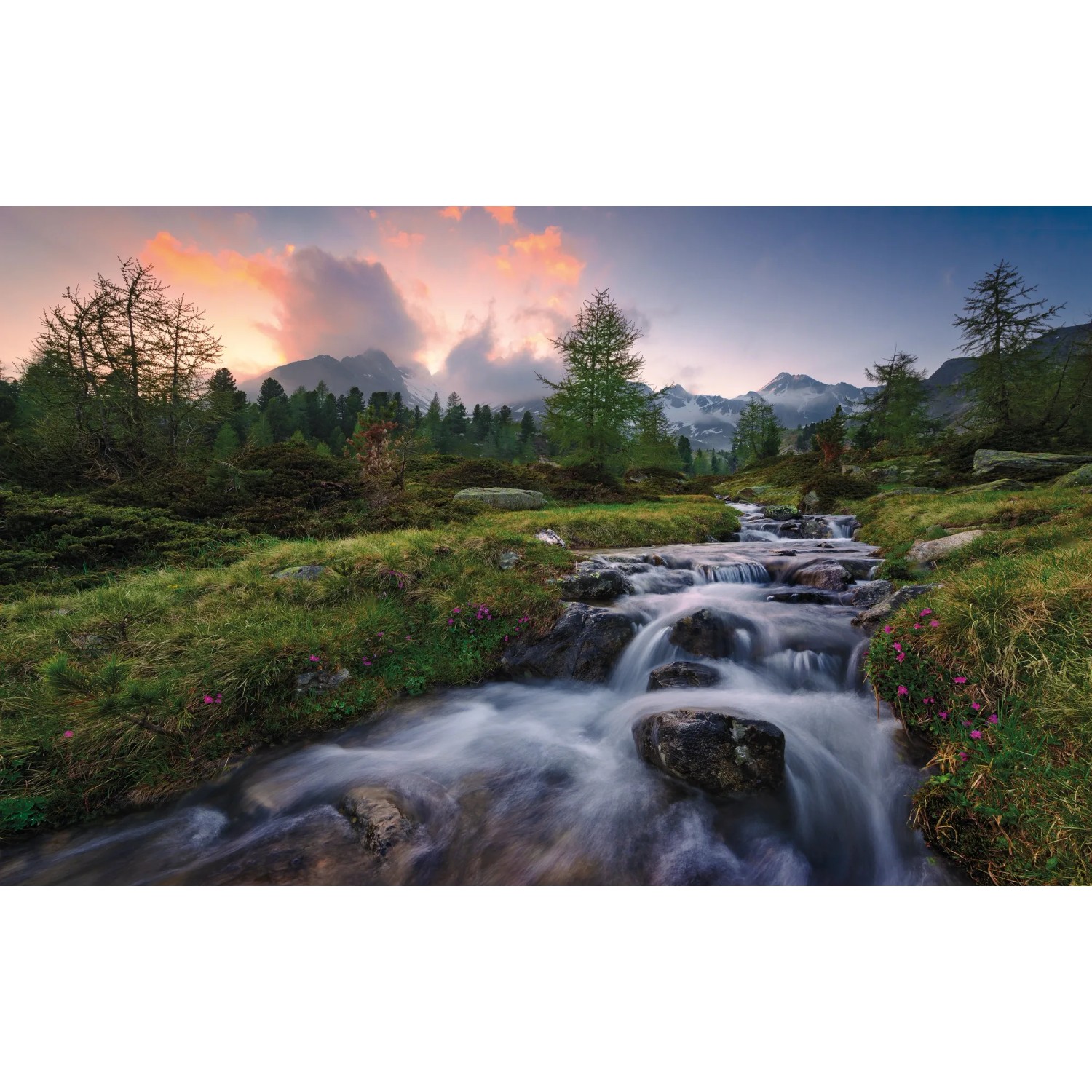 E-shop Komar Vliesová fototapeta Wild Paradise 450 x 280 cm