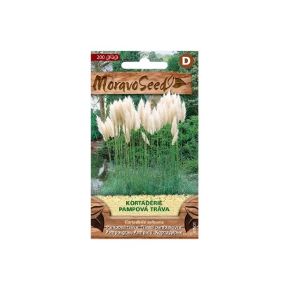 Pampová tráva, biela