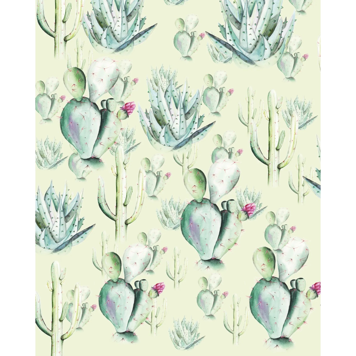 E-shop Komar Vliesová fototapeta Cactus Green 200 x 250 cm