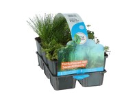 GROW by OBI Balenie rôznych jazierkových rastlín produkujúcich kyslík 6pack