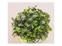 Zimostrázová guľa 12 cm zelená