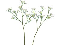 FlowerPower Vetvička Gypsophila, biela/krémová 57 cm, 1 ks