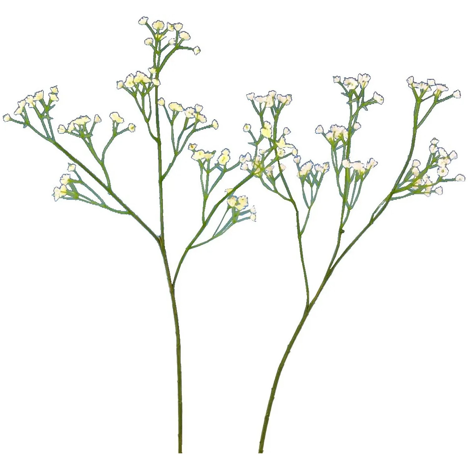 E-shop FlowerPower Vetvička Gypsophila, biela/krémová 57 cm, 1 ks