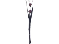 Sušená kytica Dahlie Midnight Mystery purpurovo čierna, 95 cm