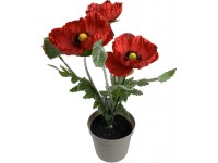 NOHEL GARDEN Umelý kvet Vlčí mak LETO X5 aranžmán 4 kvety v kv. 32 cm