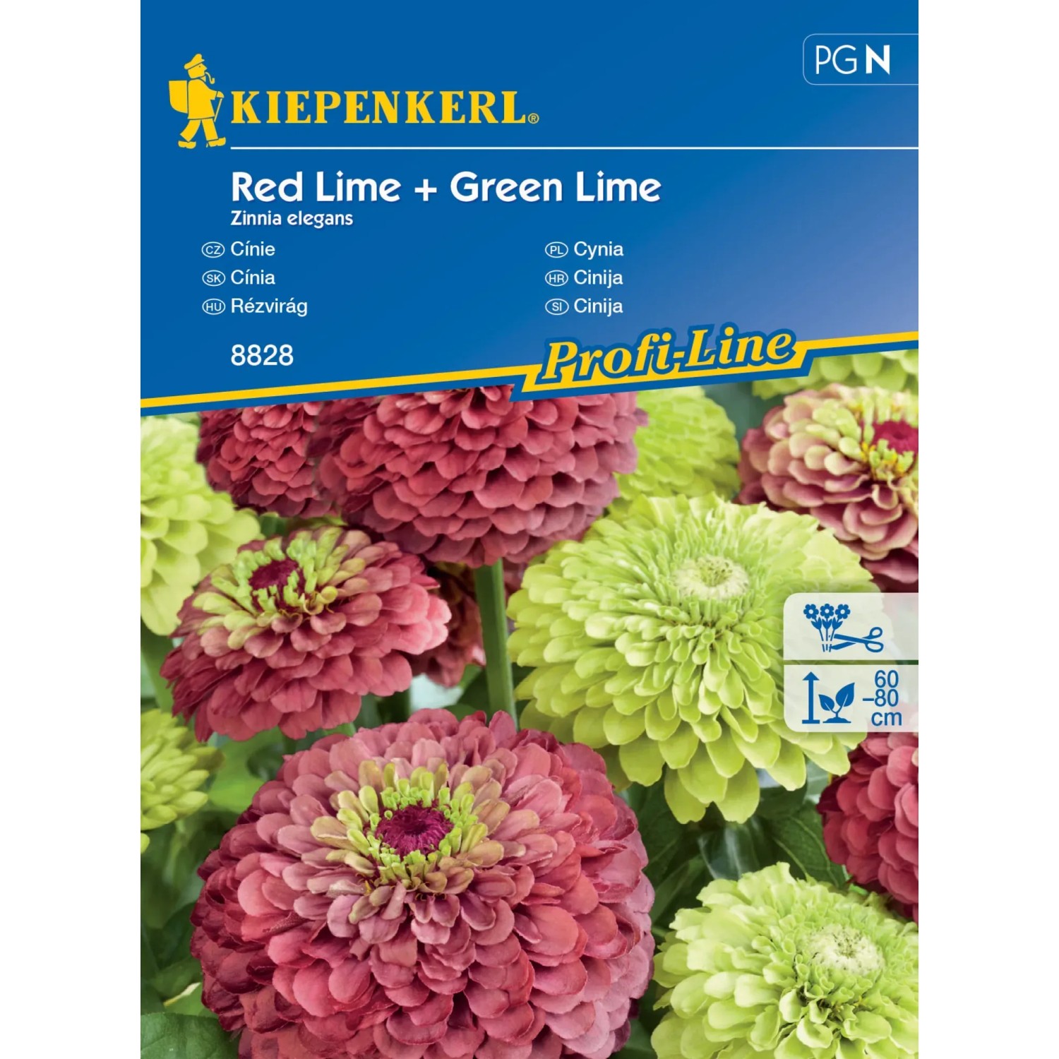 E-shop Kiepenkerl Semienka Cínia Red Lime, Green Lime