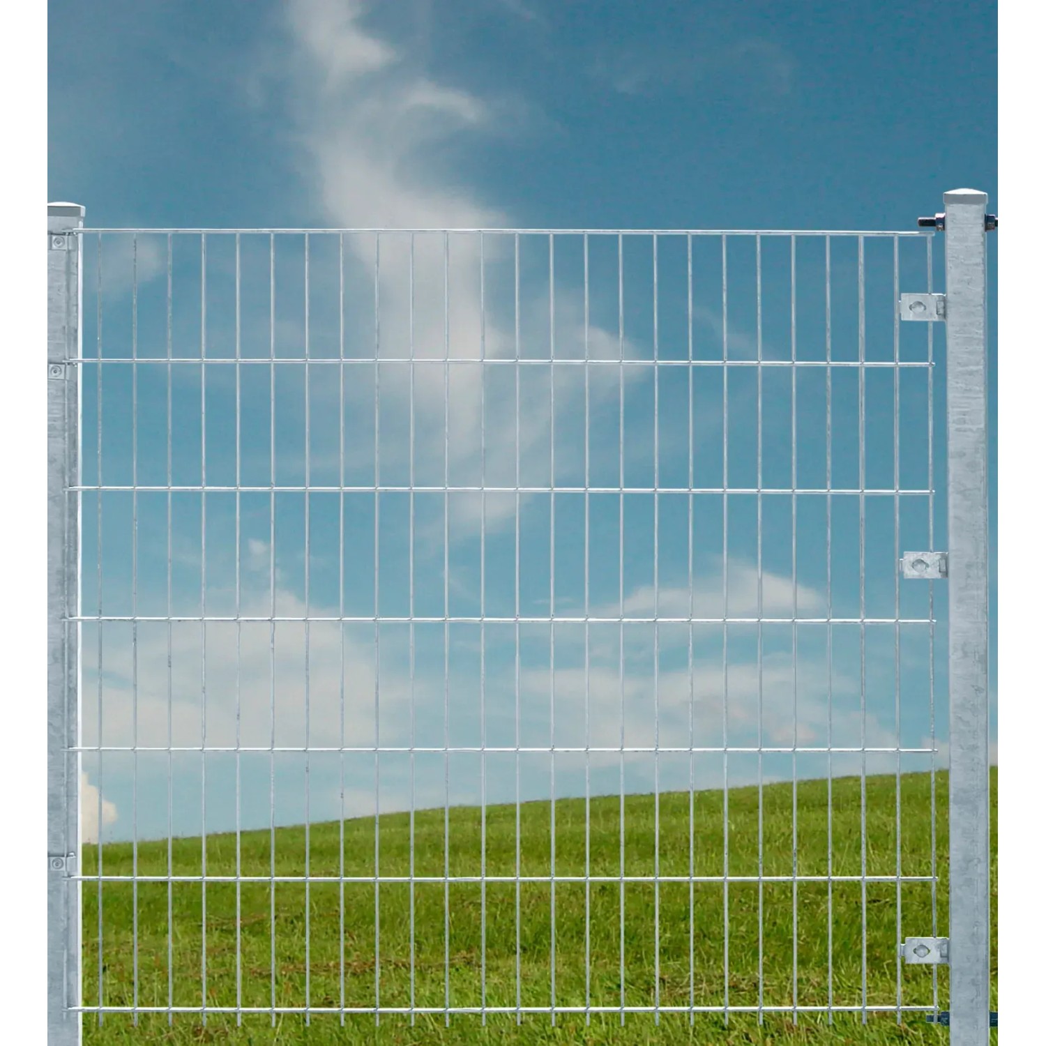 E-shop Floraworld Drôtený plotový panel, dvojitý 6/5/6, pozinkovaný, 123 x 201 cm