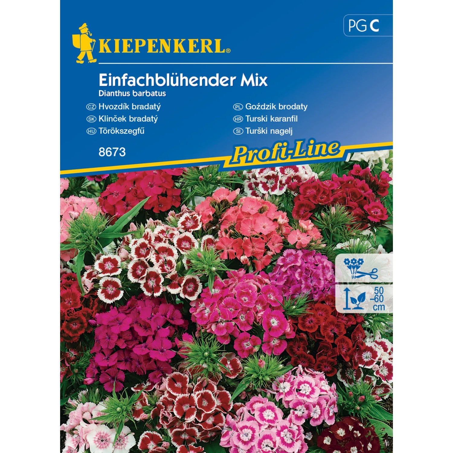 E-shop Kiepenkerl Semienka Klinček bradatý Einfachblühend
