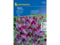 Kiepenkerl Semienka Hrachor voňavý Ramia