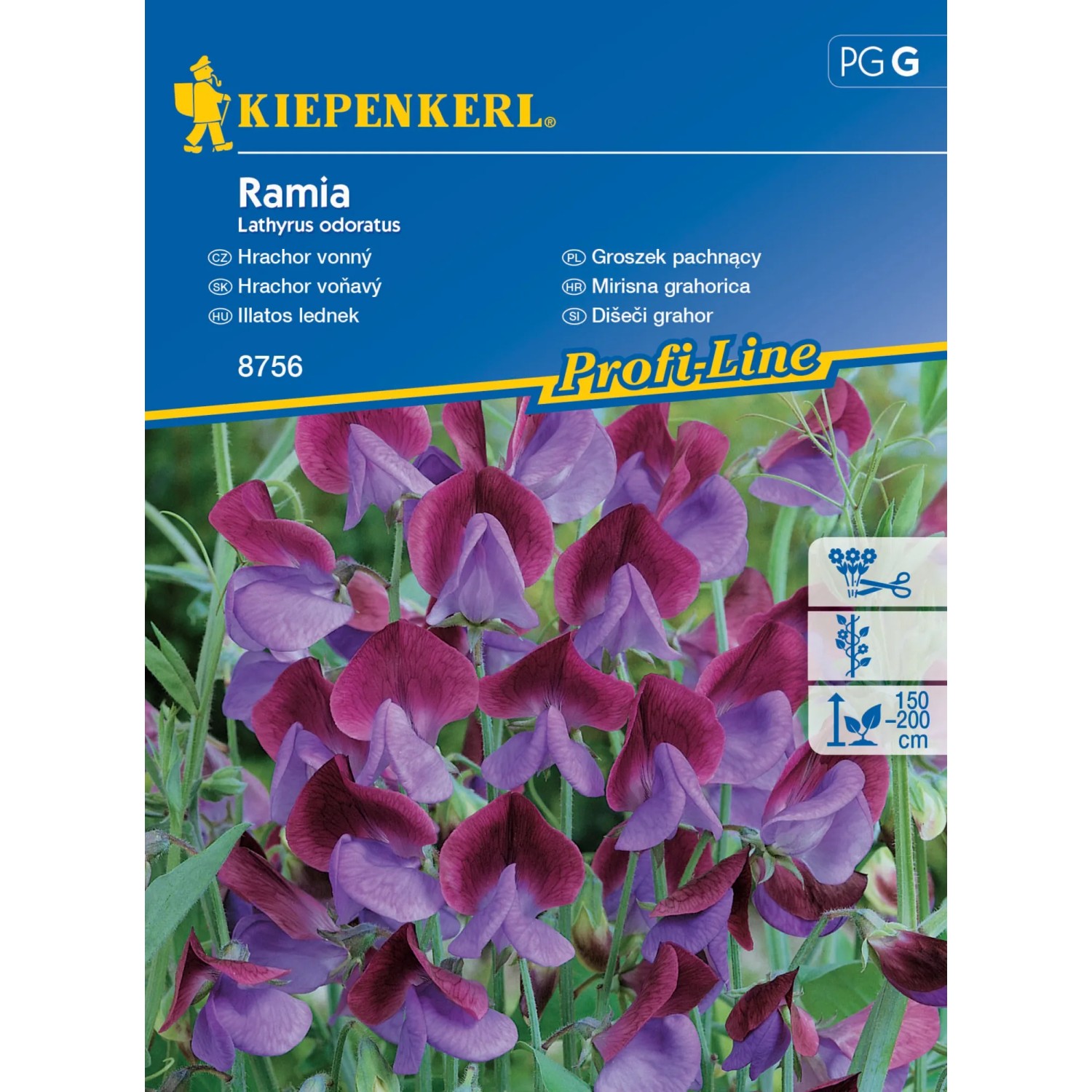 E-shop Kiepenkerl Semienka Hrachor voňavý Ramia