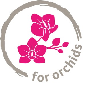Symbolický obrázok: Kvet orchidey v kruhu, ktorý sa hodí k kvetináču na orchidey Scheurich.