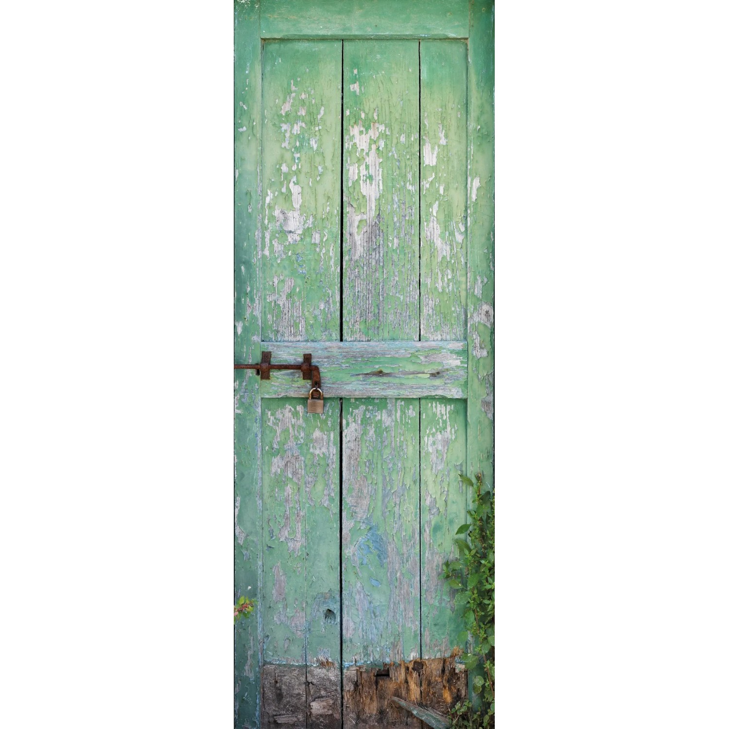 E-shop Komar Vliesová fototapeta Garden door 100 x 280 cm