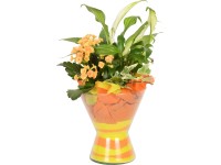 Lopatkovec kalanchoe Blossfeldova a brečtan popínavý v sklenenej váze