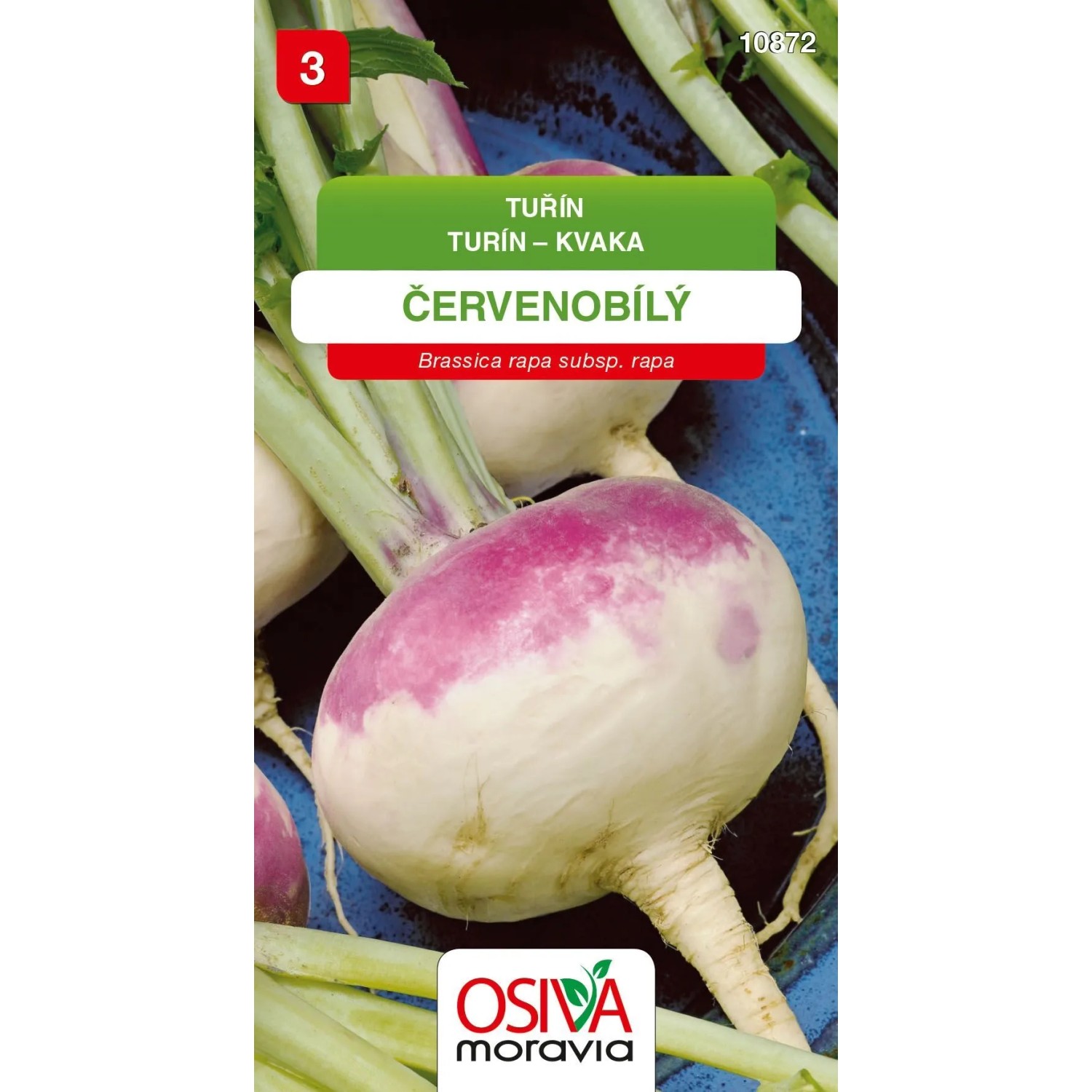 E-shop Semienka Turín kvaka červenobiely (Brassica rapa subsp. rapa)