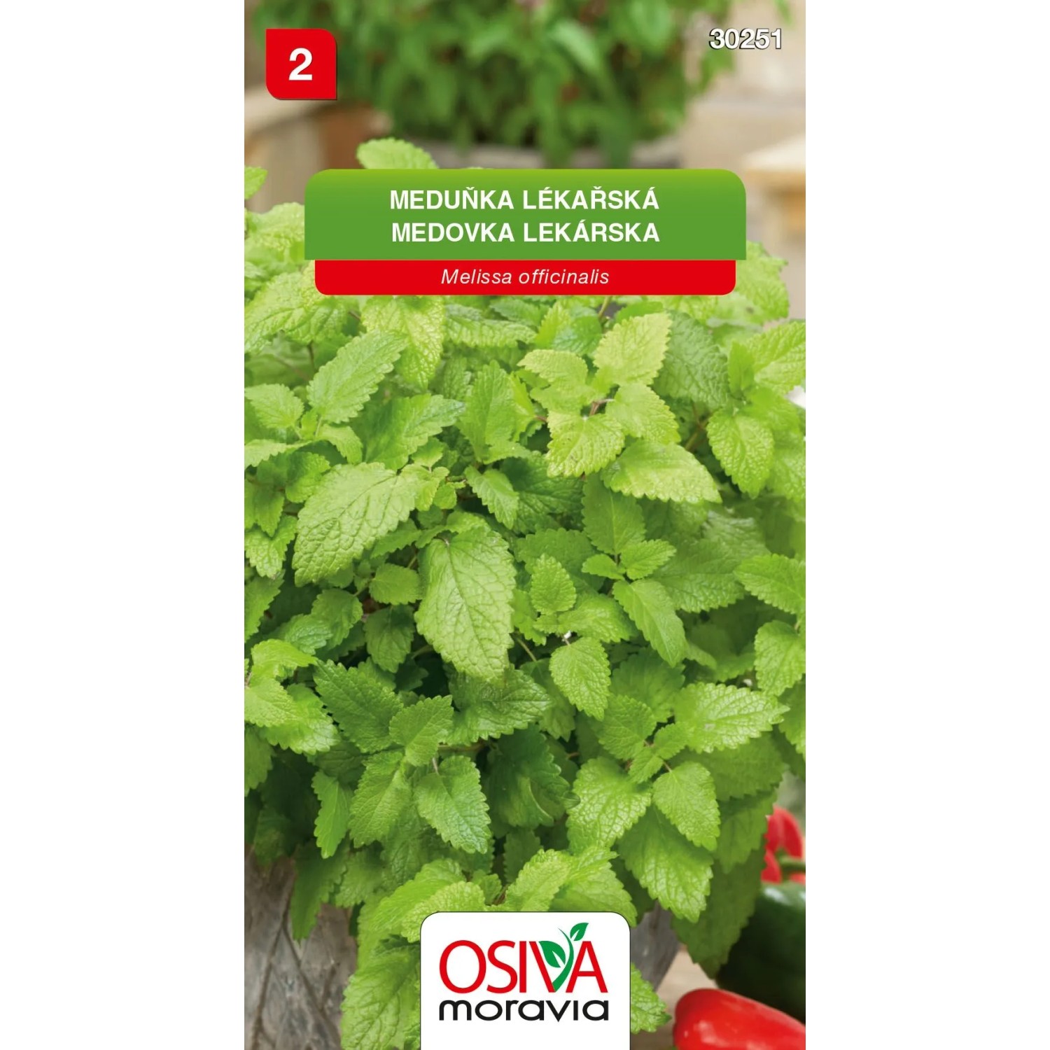 E-shop Osiva Moravia Semienka Medovka lekárska