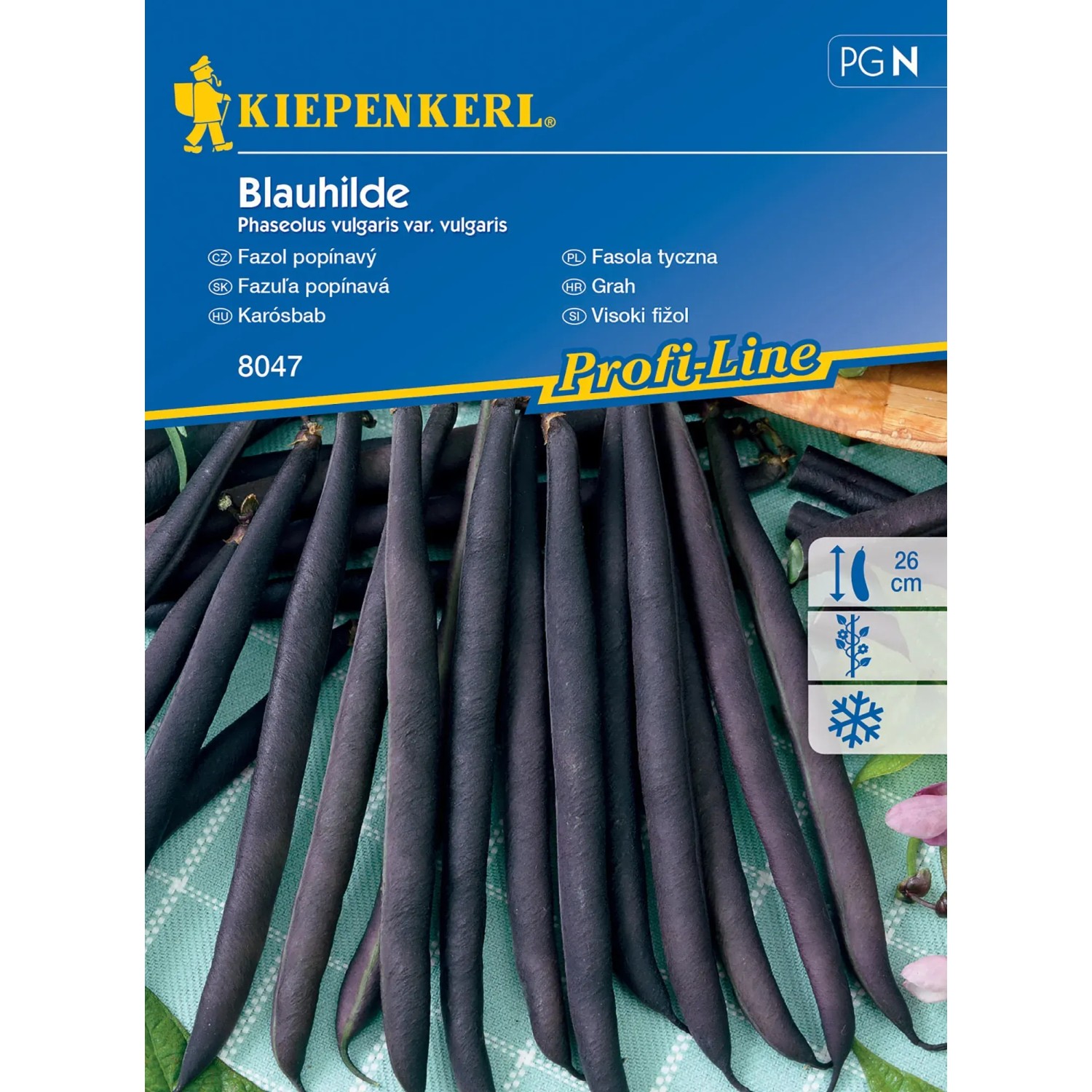 E-shop Kiepenkerl Fazuľa popínavá Blauhilde