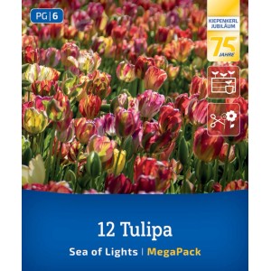 Kiepenkerl cibuľky tulipánov 'Sea of Lights' Mega-Pack. Pestré kvety pre záhony a kvetináče.