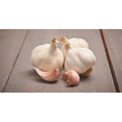 GardenSeed Premium Sadbový cesnak Flavor 250 g